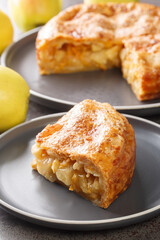 Piece of Apple Pie with Cheddar Cheese closeup in the plate on the table. Vertical