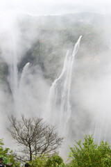 Mist and lush green around Jog waterfalls in Karnataka in south India