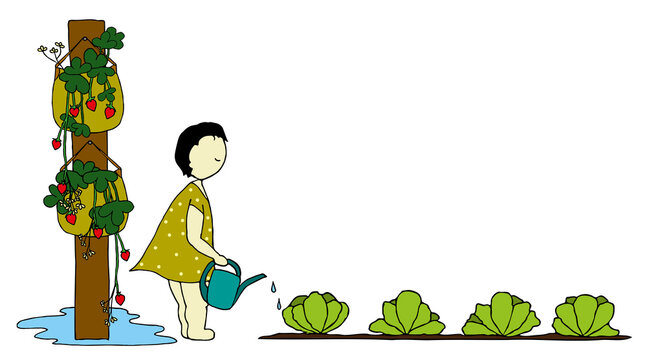 Child watering the kithen garden