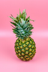 Whole ripe pineapple on the pink background