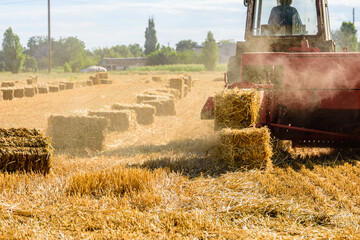 Harvester makes bales of straw at the agricultural field. Agricultural concept