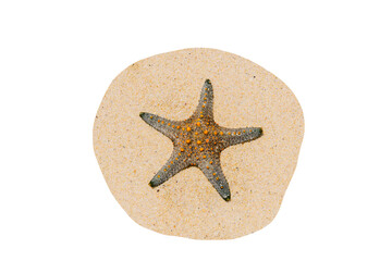 Grey starfish on sand isolated on a white background