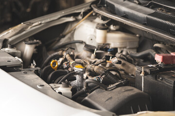 Fototapete bei efototapeten.de bestellen   