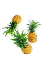 Fototapeta premium Fresh pineapple