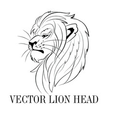 vector lion head