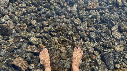 Underwater reflection of clear lake water with fishes and stones inside