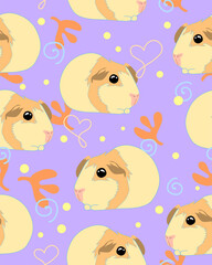 Pattern with cute guinea pigs