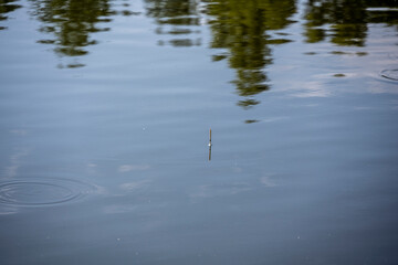 summer landscape with lake green forest and glampings around the lake