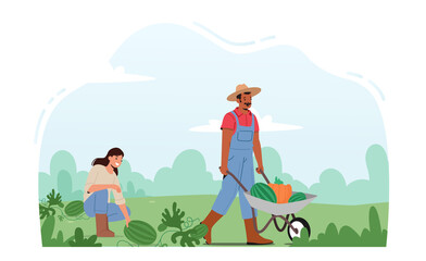 Seasonal Work on Farm. Man and Woman Farmers Pick Harvest to Wheelbarrow in Orchard. Gardener Harvesting