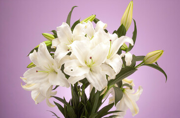 Fototapeta premium 白いユリ_カサブランカ_2