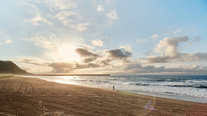 Wide view of unrecognizable person running along the beach shore with his dog in a beautiful sunny sunset