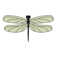 Green pastel wings dragonfly top view isolated © tatianastulbo