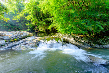 夏の観音の滝　清めの淵　佐賀県唐津市　Kannon Falls in summer. Kiyomenohuchi.Saga-ken Karatsu city.