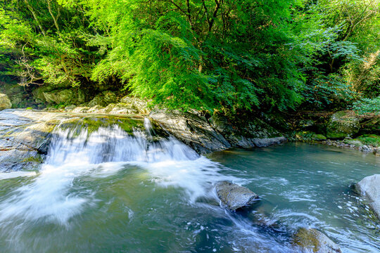 夏の観音の滝　清めの淵　佐賀県唐津市　Kannon Falls In Summer. Kiyomenohuchi.Saga-ken Karatsu City.