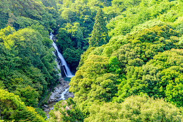 夏の観音の滝　佐賀県唐津市　Kannon Falls in summer. Saga-ken Karatsu city.