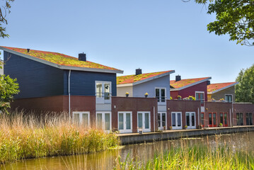 Den Helder, Netherlands. June 2022. Environmentally friendly roofs in a residential area in Den Helder. - obrazy, fototapety, plakaty