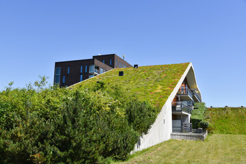 Fototapeta na wymiar Den Helder, Netherlands. June 2022. Environmentally friendly roofs in a residential area in Den Helder.