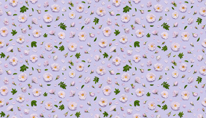 Seamless floral pattern of pink blooming Celestial minden rose flowers, leaves buds and petals on pastel violet background top view flat lay