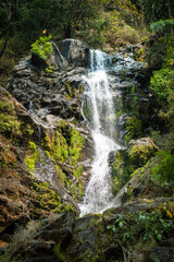 Fototapeta premium Vibhudhi water falls near Gokarna