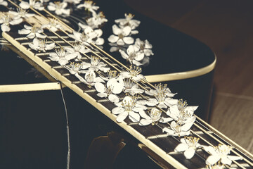 Guitar with flowers on strings. Beautiful white flowers on the guitar. Music instrument