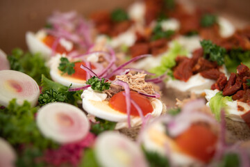 Shallow Depth of Field of Decorated Open Sandwich. Tasteful European Cold Cuisine. Small Bread With Tuna, Vegetable and Egg.