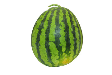 먹음직스럽게 익은 여름제철과일, 수박