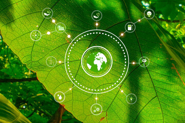 ESG icon concept  environmental,and governance in sustainable on a green background.