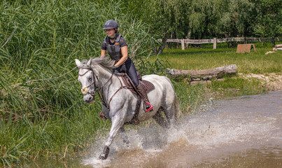 Junge Frau auf einem Schimmel galoppiert im leichten Sitz mit Sattel mit pinken Steigbügeln und mit Helm und Schutzweste beim Geländetraining  in der Sonne durch Wasser vor grünem Gebüsch