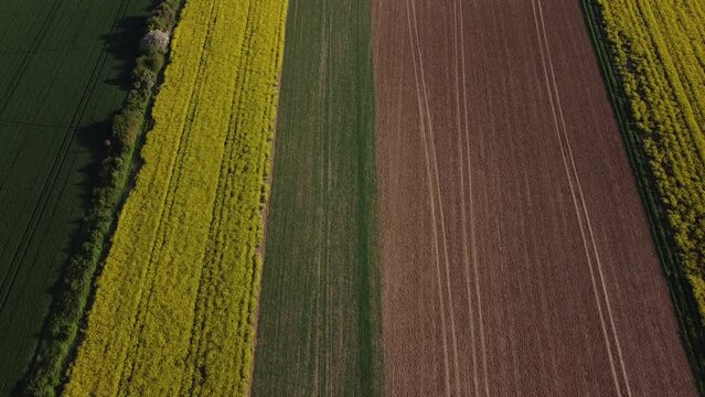Vue a&eacute;rienne (drone) d'un champ de cultures diff&eacute;rentes et de couleurs diff&eacute;rentes (jaune, vert, marron)