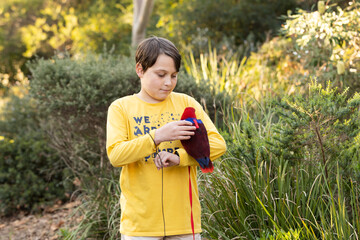 A boy holding an australian red and blue female eclectus parrot, the parrot is wearing a harness...