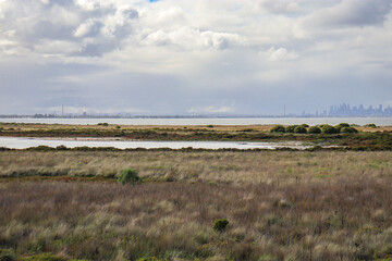clouds over wetlands and bay with distant city skyline