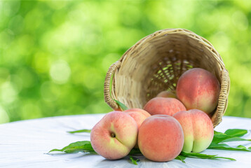 Pink Peach fruit with leaf on blur garden background, Fresh Sweet Peach on wooden basket over natural farm background.