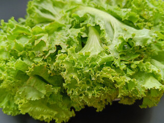 Lettuce on black background. Side view. selected focus