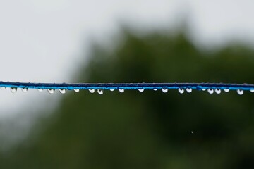 water drops on the washing line