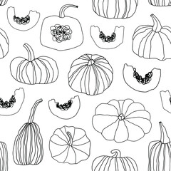 Seamless pattern with drawn pumpkins. Vector botanical texture. Vegetable background