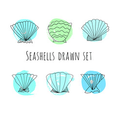 Seashells drawn vector set. Marine collection. Decorative shells with watercolor background