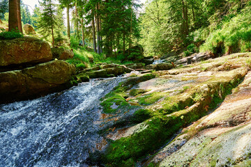 Fototapeta na wymiar Lomnica river in Karpacz mountains in Poland, Fast mountain cascade river with stones, Beautiful nature landscape