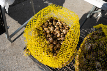 Fresh snails in a net at the bazaar close-up.