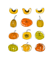 Set with drawn pumpkins. Vector botanical collection. Vegetable icons - 515156559