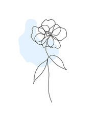 illustration of a flower, line art