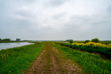 Fototapeta na wymiar Path in the marshlands on a sunny winter day 