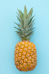 Ripe pineapple on a blue background