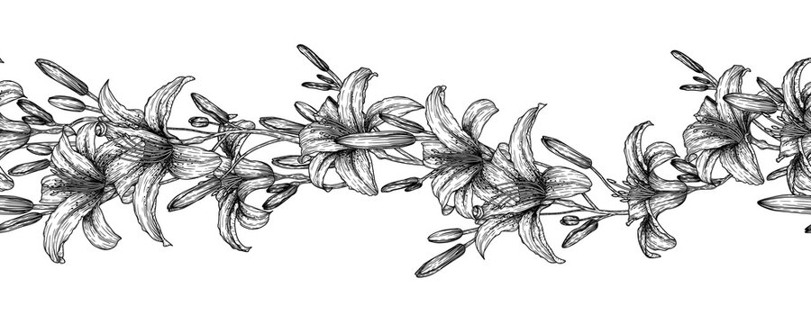 Seamless horizontal vector pattern waving tiger lily flowers in engraving style