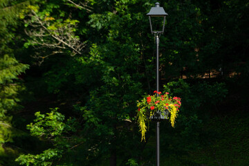 Colorful flower pots hanging from a metal lamp post