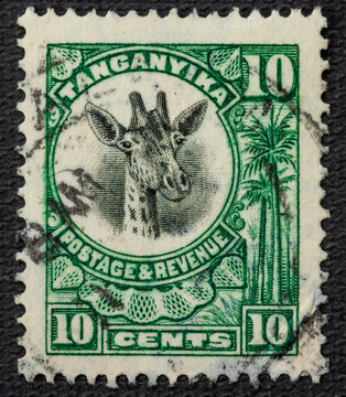Tanganyika - circa 1922 1925: A stamp printed in Tanganyika shows the head of a giraffe, circa 1922 1925.