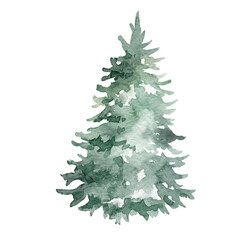 Watercolor fir tree, hand painted christmas tree