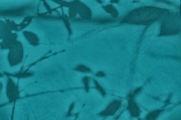 Shadow of leaves on turquoise green teal concrete wall texture with roughness and irregularities. Abstract nature concept background. Copy space for text overlay, poster mockup flat lay 