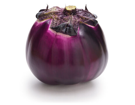 Violetta Di Firenze, Italian Round Purple Eggplant