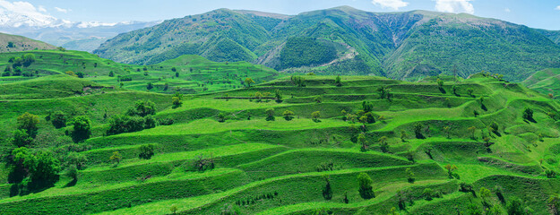 mountain valley panorama with green agricultural terraces on the slopes