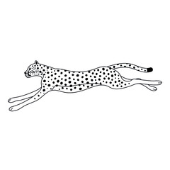 Vector flat jumping outline cheetah isolated on white background